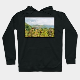 Apple harvest below Bad Berg, Kaiserstuhl, Germany Hoodie